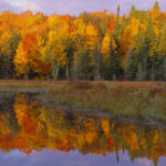 Beaver Pond Sunset Gallery Wrapped Canvas By The Nature Gallery