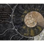 Fossil Ammonite Poster By The Nature Gallery