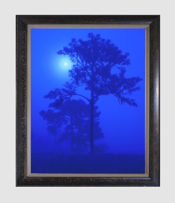Blue Moon Framed By The Nature Gallery
