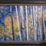 San Juan Aspens Framed by The Nature Gallery