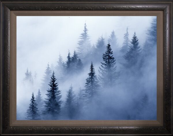Valley Fog Framed by The Nature Gallery