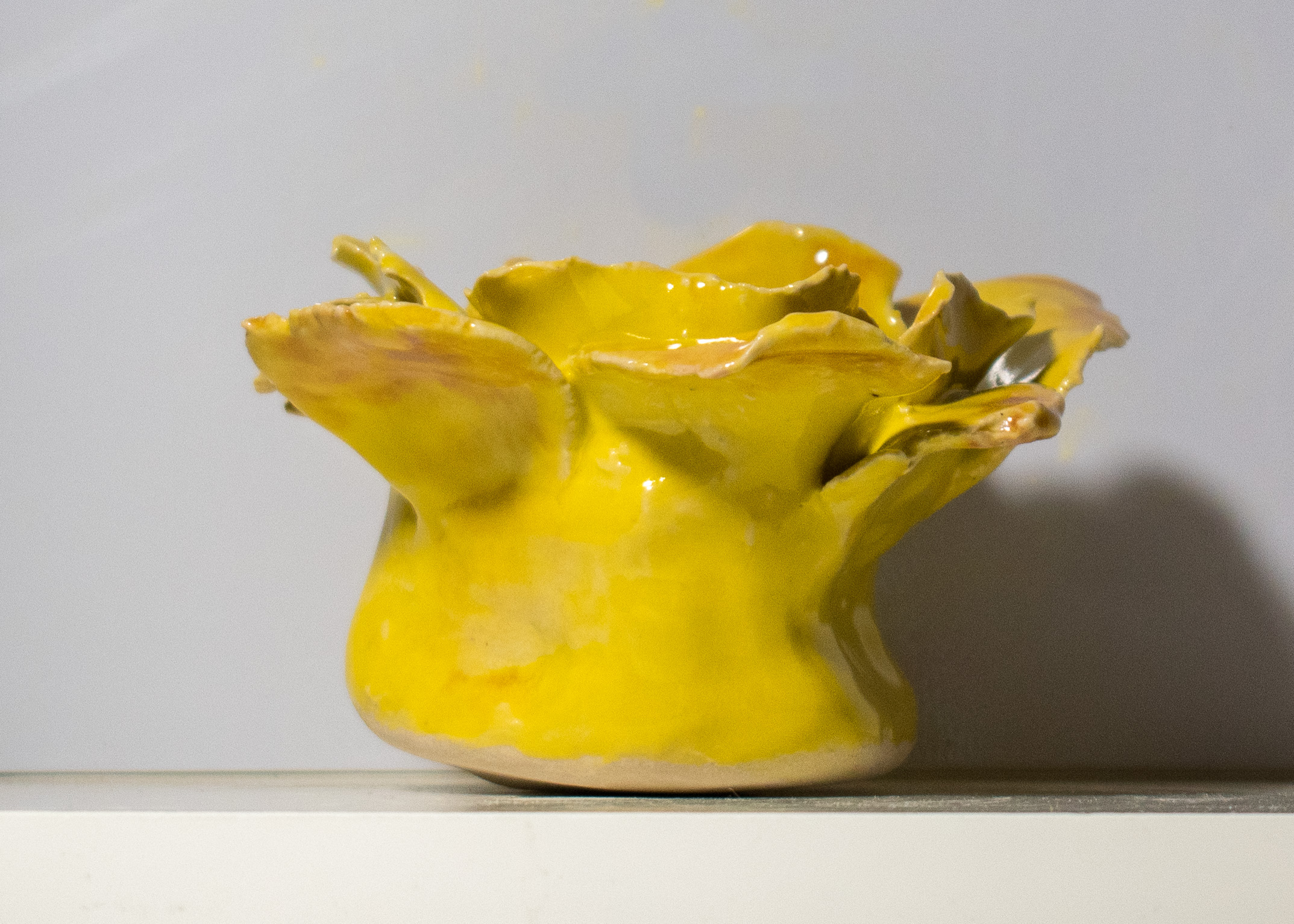 Blushing Yellow Rose by Neena Plant Pottery