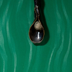 Pearly Pendant by Neena Plant Pottery