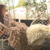 Luxury Throw Plush