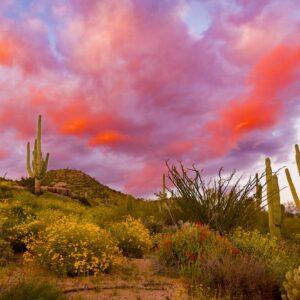 Bartlett Lake Sunset by Byron Neslen Photography