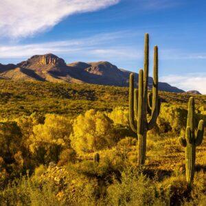Cherry Creek in Autumn Byron Neslen