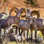 Family Portrait by Byron Neslen Photography