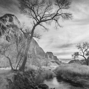 Infrared Zion Canyon by Byron Neslen Photography