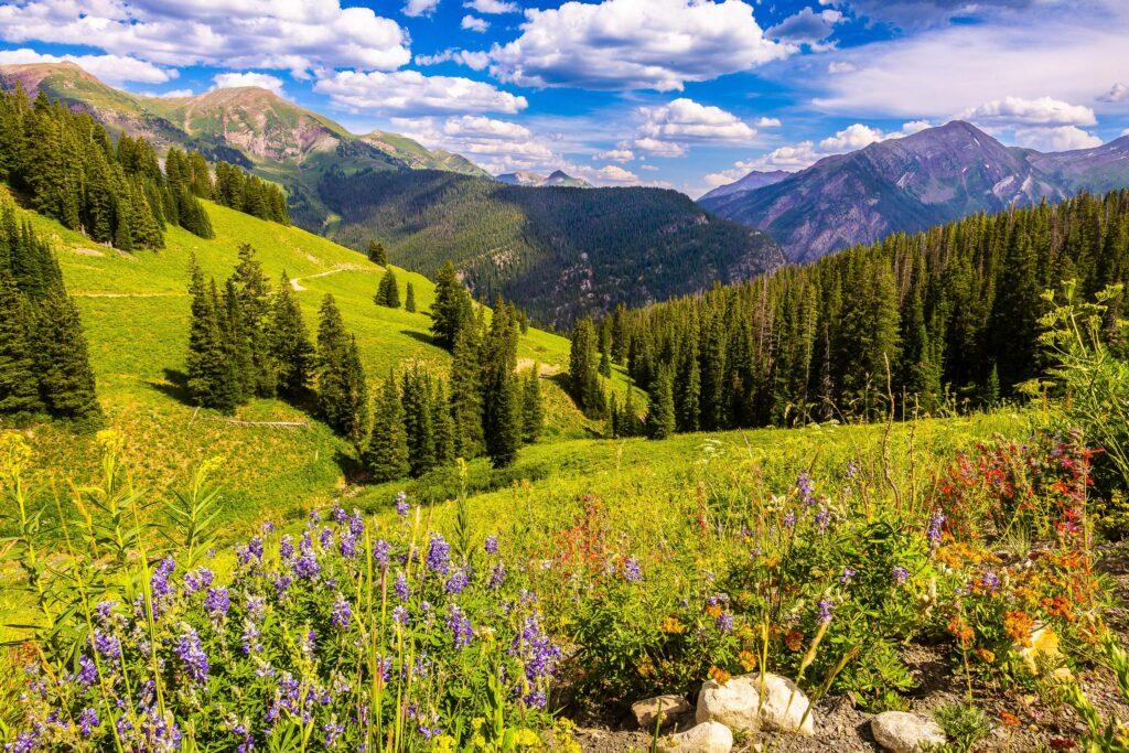 Lead King Loop by Byron Neslen Photography