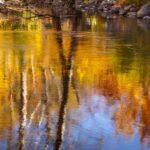 Monet Reflection by Byron Neslen Photography