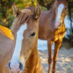 Mother, Daughter by Byron Neslen Photography