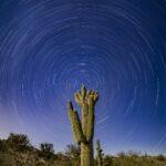 Star Trails with a Crested Saguaro by Byron Neslen Photography