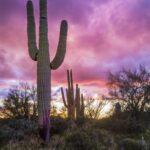 Sunset Near Picket Post Mountain by Byron Neslen Photography