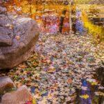 Autumn Reflections by Byron Neslen Photography