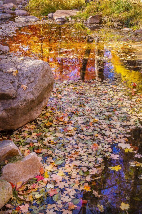 Autumn Reflections by Byron Neslen Photography