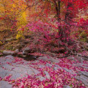 Autumn Sierra Anchas Wilderness by Byron Neslen Photography