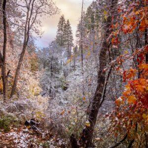 Autumn, Snow and Sunset in the Sierra Anchas by Byron Neslen Photography