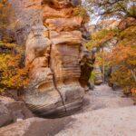 Autumn in East End Zion Canyon by Byron Neslen Photography