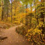 Autumn on the West Fork Trail by Byron Neslen Photography