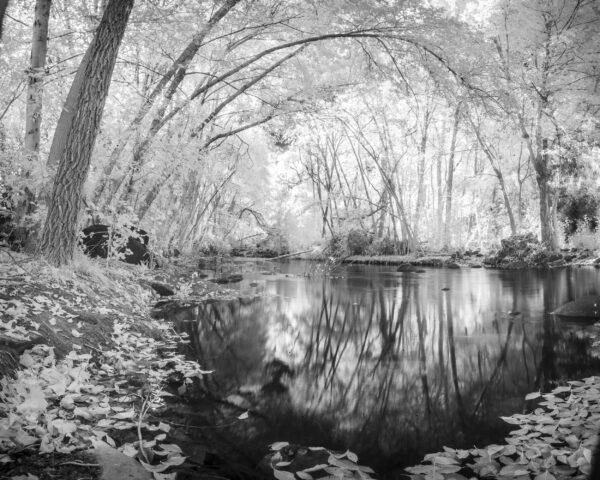 Black and White Infrared West Clear Creek by Byron Neslen Photography