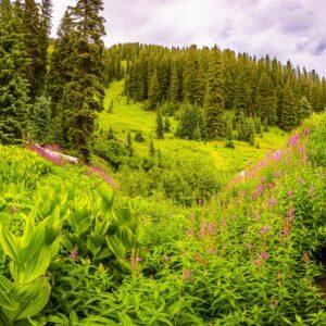 Coal Bank Pass by Byron Neslen Photography