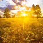 Garland Prairie Sunrise by Byron Neslen Photography