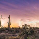 Lightning Saguaro Sunset by Byron Neslen Photography
