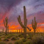 Only Arizona had Sunsets Like This! by Byron Neslen Photography