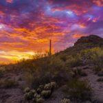 Organ Pipe Sunset by Byron Neslen Photography