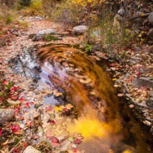 Reflection and Swirling Leaves by Byron Neslen Photography