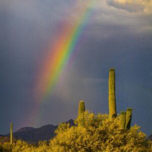 Saguaro Rainbow by Byron Neslen Photography