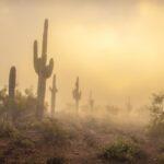 Sunrise Fog in the Superstition Mountains by Byron Neslen Photography