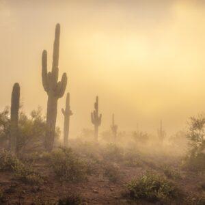 Sunrise Fog in the Superstition Mountains by Byron Neslen Photography