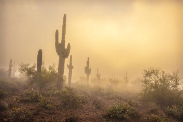 Sunrise Fog in the Superstition Mountains by Byron Neslen Photography