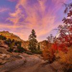 Sunset Autumn In Zion by Byron Neslen Photography