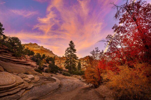 Sunset Autumn In Zion by Byron Neslen Photography