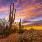 Sunset near the Salt River by Byron Neslen Photography