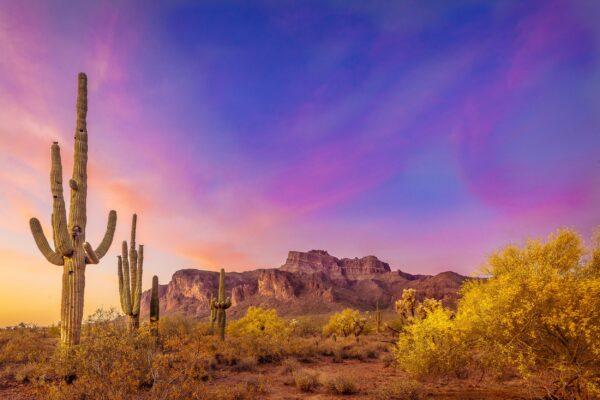 Superstitions Spring Sunset by Byron Neslen Photography