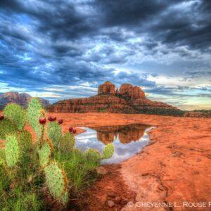 Sedona Reflection by Cheyenne L Rouse Photography