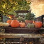 Farm to Market by Cheyenne L Rouse Photography