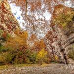 Autumn in Aravaipa Creek 2