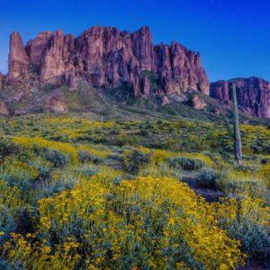 Blue-Hour-at-the-Superstitions-Mountains-by-Byron-Neslen-Photography