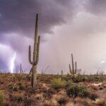 Lightning Monsoon in the Sonoran Desert