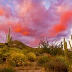 Bartlett Lake Sunset by Byron Neslen Photography