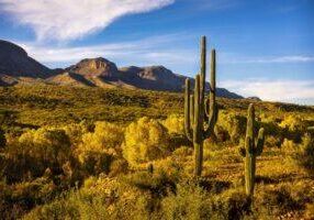 Cherry Creek in Autumn Byron Neslen