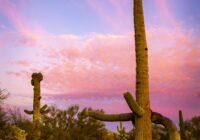 Cloud Framed Saguaro Sunset by Byron Neslen Photography