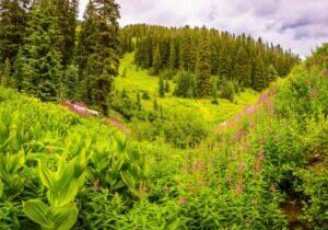 Coal Bank Pass by Byron Neslen Photography