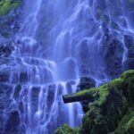 Enchanted Valley Gallery Wrapped Canvas By The Nature Gallery