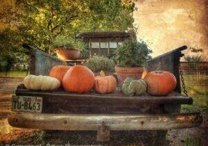 Farm to Market by Cheyenne L Rouse Photography