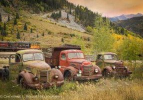 Legends of the Fall by Cheyenne L Rouse Photography